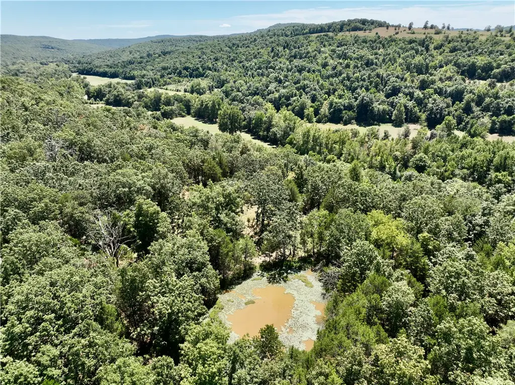 TBD Madison 3105, Witter, AR 72776 - #1