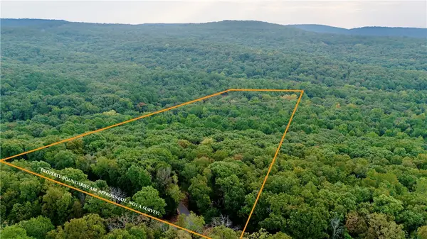 0000 Ozark Point (tract 1), Rudy, AR 72952