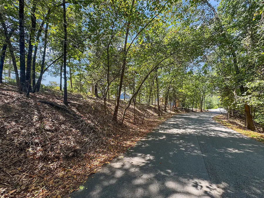 Lots 9 & 10 Corley Loop, Eureka Springs, AR 72632 - #3