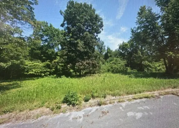 1668 Goff Road, Harrison, AR 72601 - #3