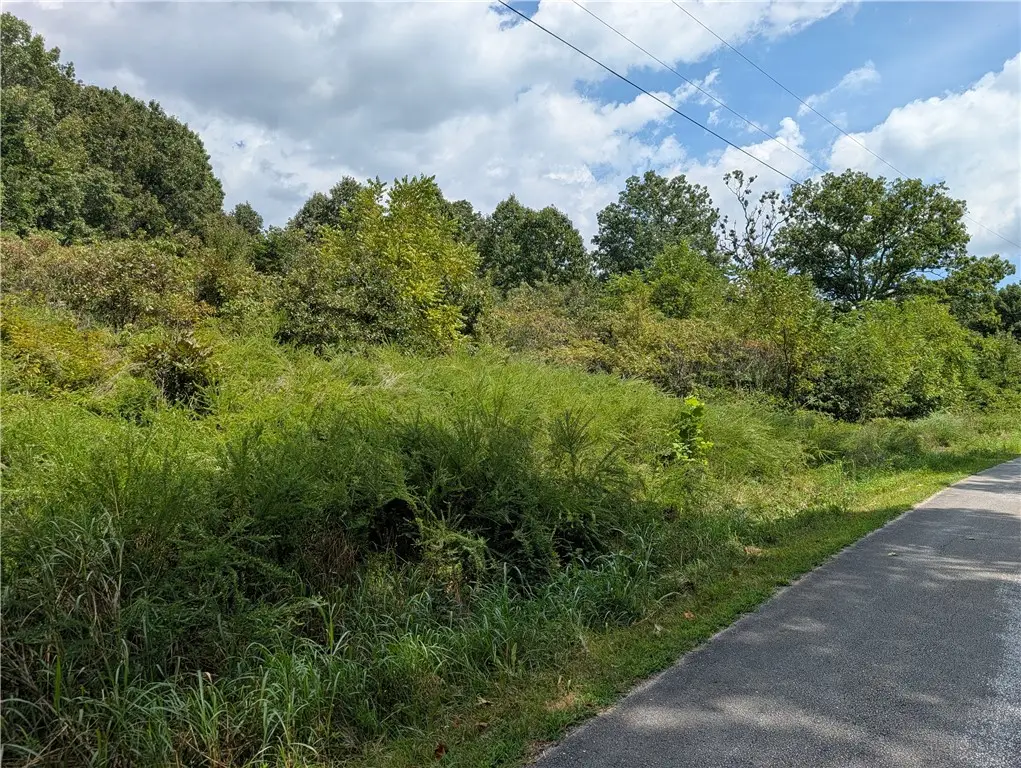 Parliment Drive, Harrison, AR 72601 - #1