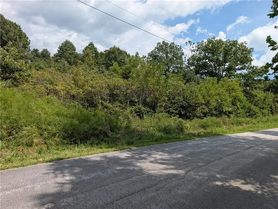Parliment Drive, Harrison, AR 72601 - #2