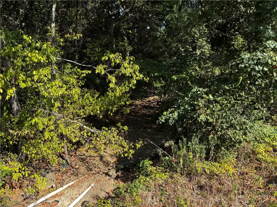 10820 & 10846 Illinois Chapel Road, Prairie Grove, AR 72753 - #2
