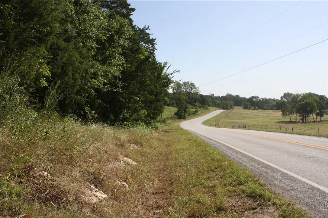 5502 E Highway 202, Flippin, AR 72634 - #1