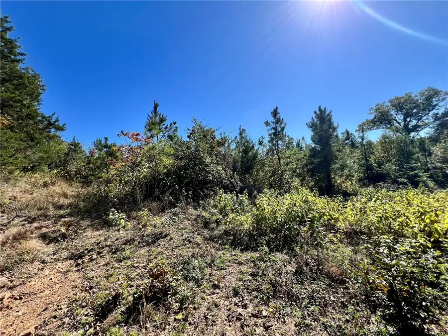 1011 Granny Hollar Road, Atkins, AR 72823 - #3