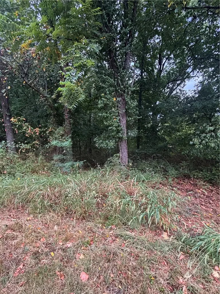 Scarborough Lane, Bella Vista, AR 72715 - #2