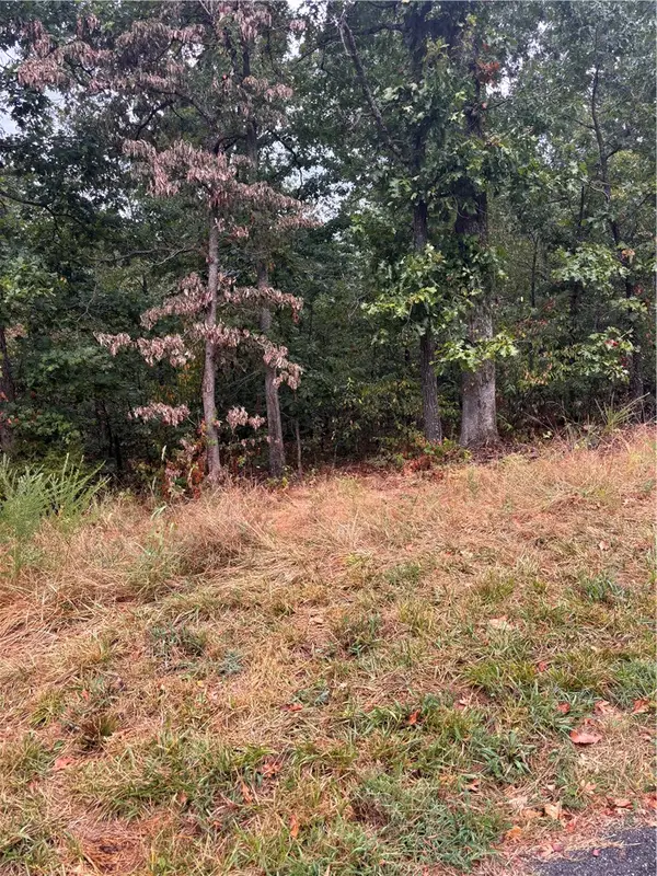 Nottingham Drive, Bella Vista, AR 72715