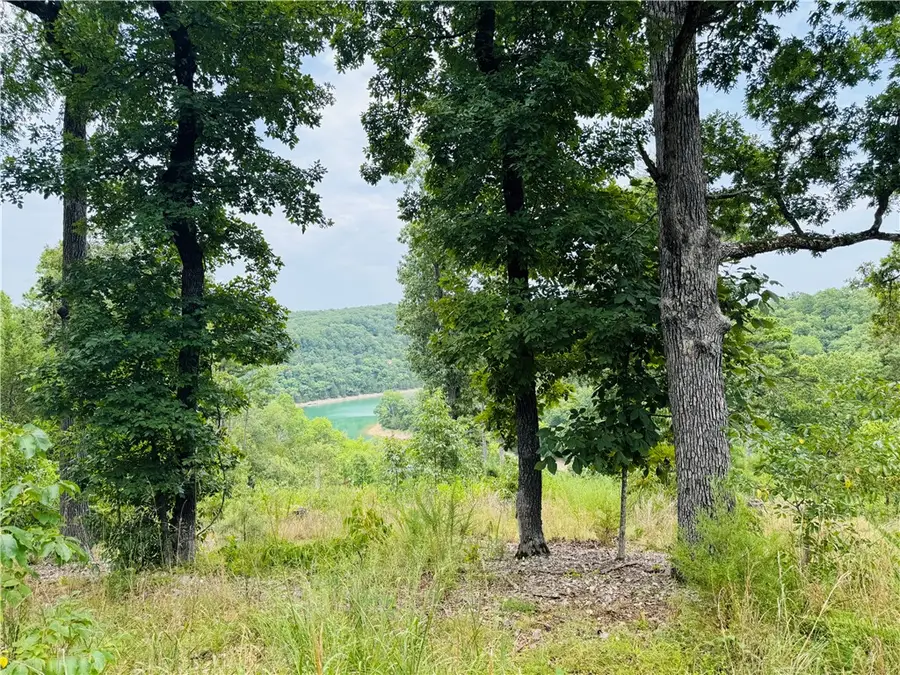 CR 150 Blackberry & Glen Haven Lane, Eureka Springs, AR 72631 - #2