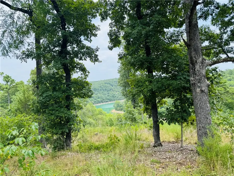 CR 150 Blackberry & Glen Haven Lane, Eureka Springs, AR 72631 - #3