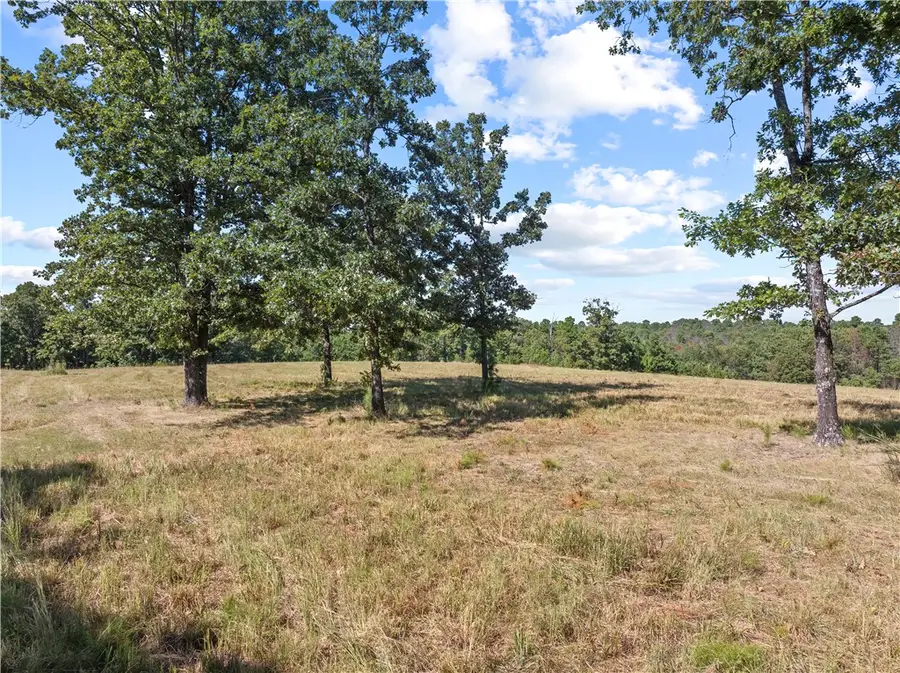 000 Ruby Lane, Yellville, AR 72687 - #2
