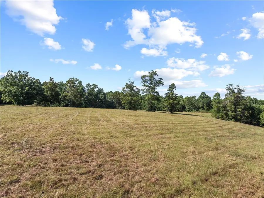 000 Ruby Lane, Yellville, AR 72687 - #3