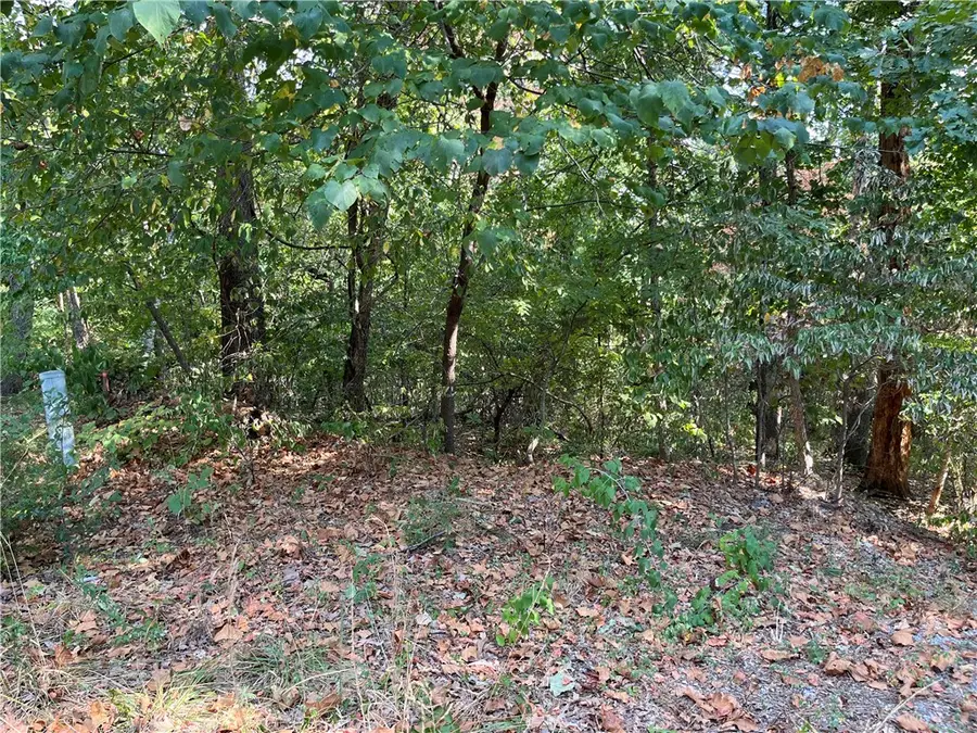 Stone Lane, Bella Vista, AR 72714 - #3