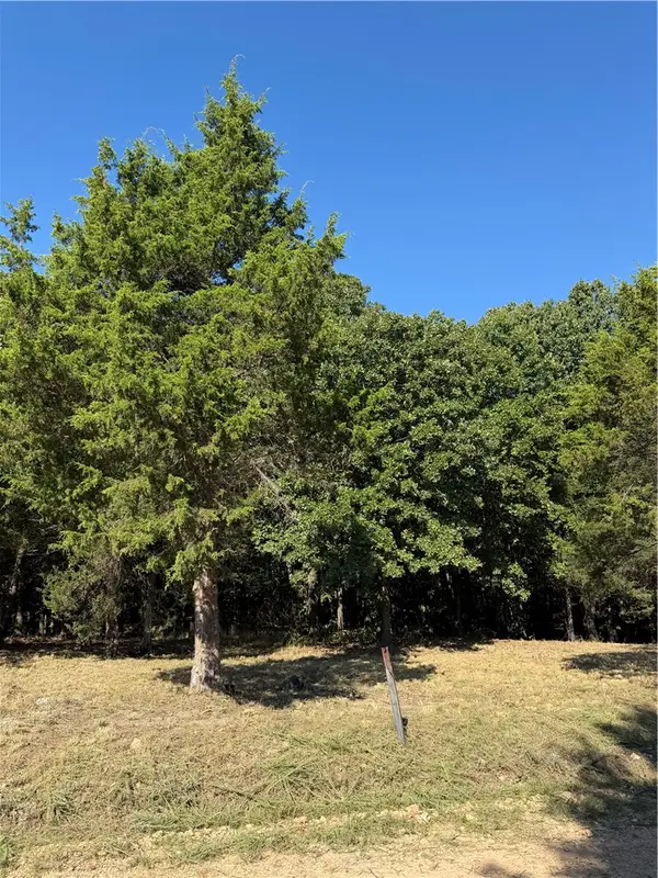 TBD Angus Drive, Garfield, AR 72732