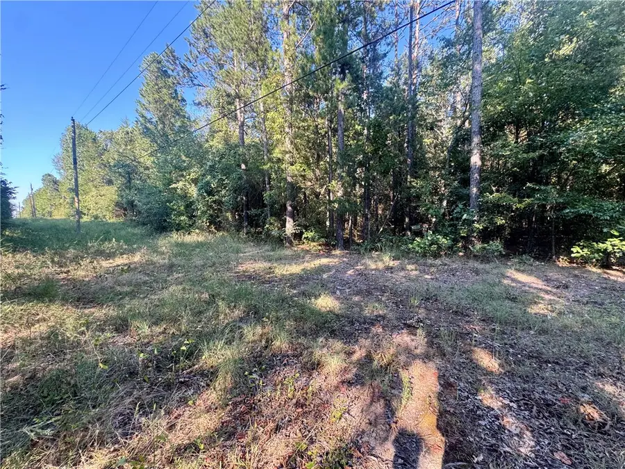 5 Melvin Lane, Dover, AR 72837 - #3
