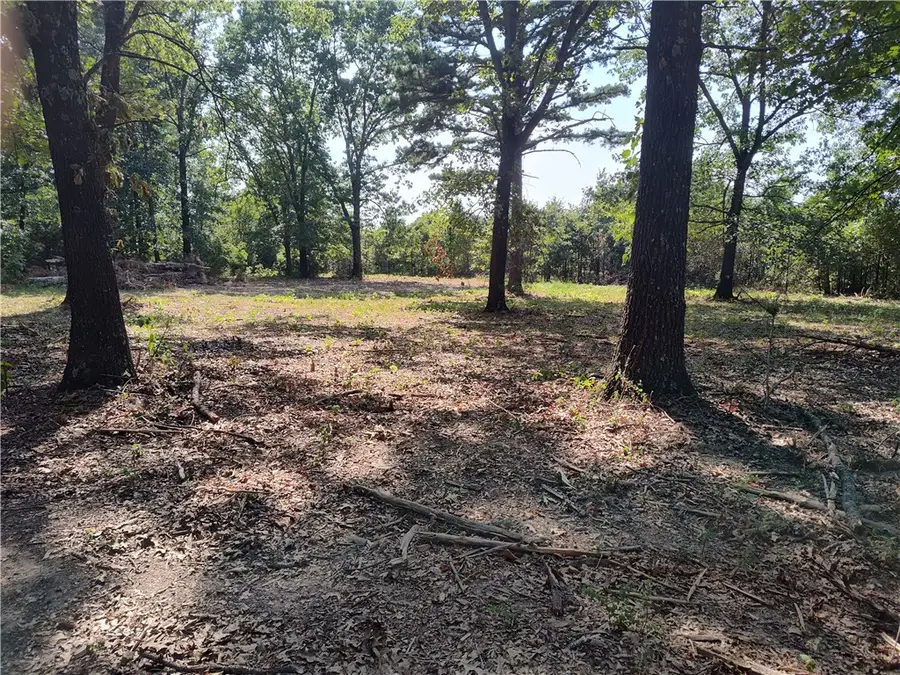 TBD Grand Oak Lane, Garfield, AR 72732 - #3