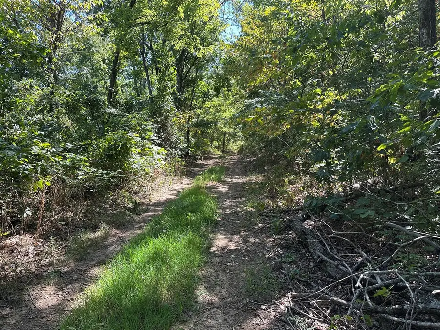 Eaasement, Marble Falls, AR 72648 - #3