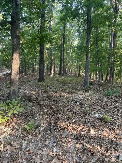 TBD Windsong Lane, Eureka Springs, AR 72631