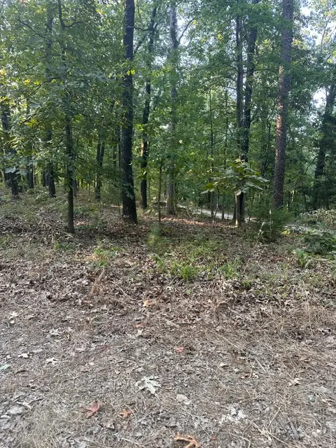 TBD Windsong Lane, Eureka Springs, AR 72631 - #3
