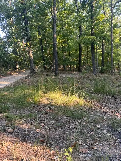 TBD Windsong Lane, Eureka Springs, AR 72631 - #1