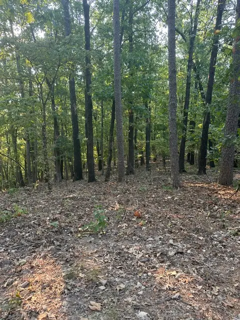 TBD Windsong Lane, Eureka Springs, AR 72631 - #3