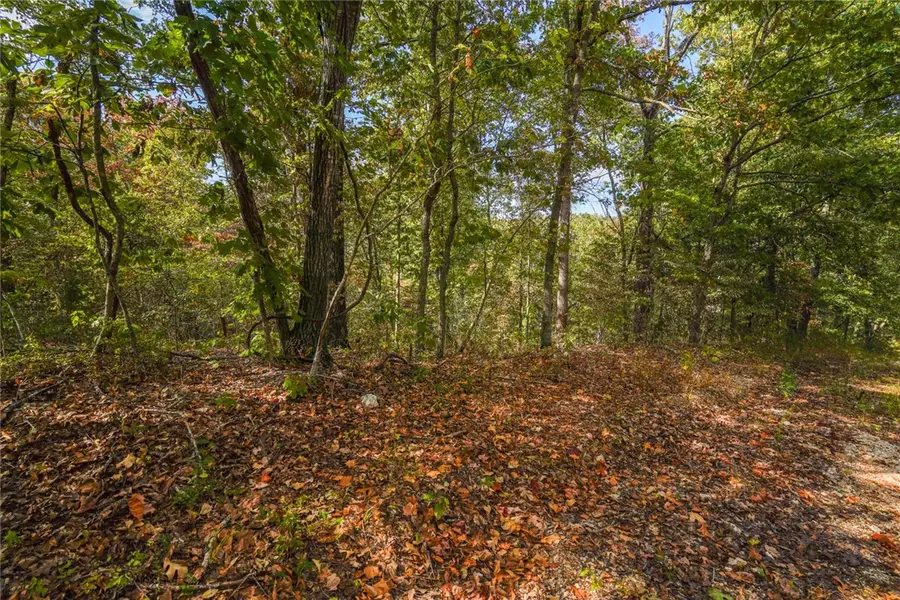 Lots 13,14, & 15 Murphy Drive, Bella Vista, AR 72715 - #2