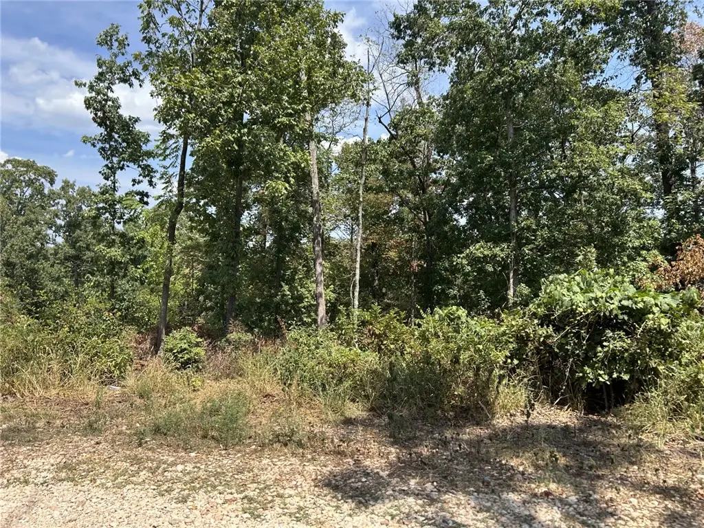 Rupert Lane, Bella Vista, AR 72715 - #1
