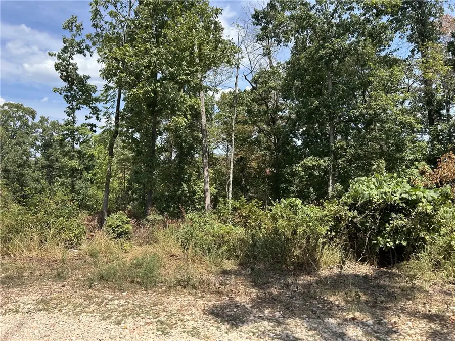 Rupert Lane, Bella Vista, AR 72715 - #3