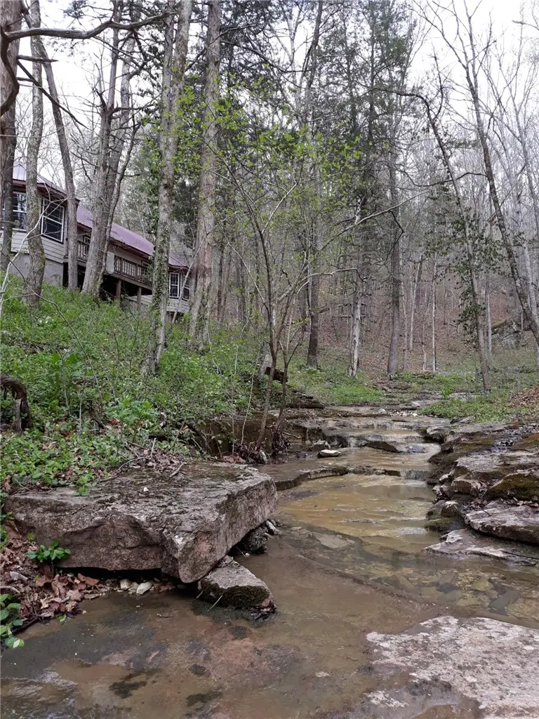 4137 Nc 8167, Jasper, AR 72641 - #3