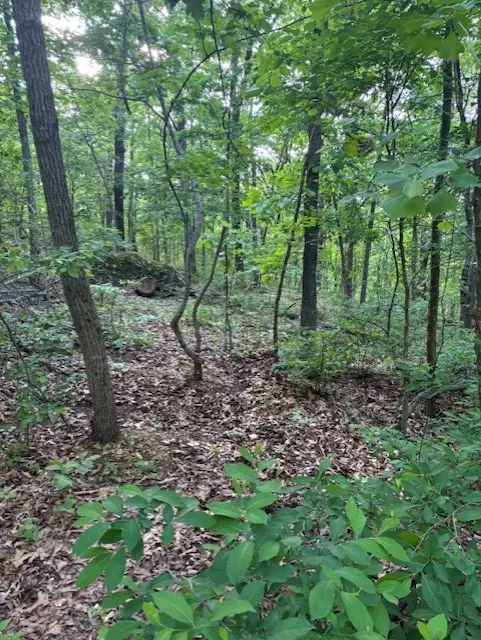 Eston Lane, Bella Vista, AR 72714 - #2