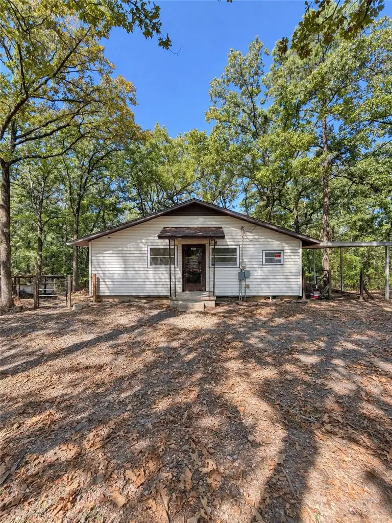 10252 Carter Cove Road, Plainview, AR 72857 - #1