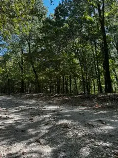 Cr 1520 & Tbd Amble, Eureka Springs, AR 72632