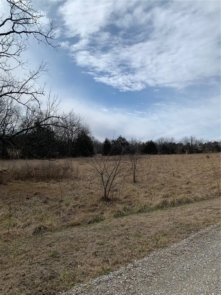 875-02837-000 TBD Sandra, Berryville, AR 72616 - #2