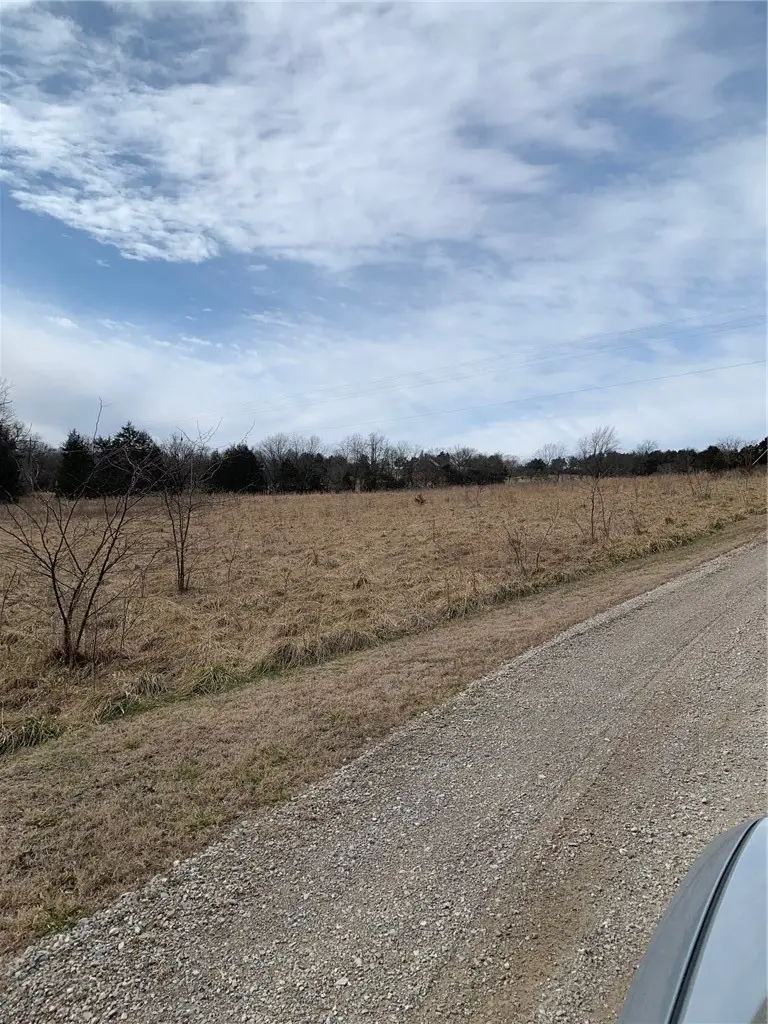 875-02837-000 TBD Sandra, Berryville, AR 72616 - #3