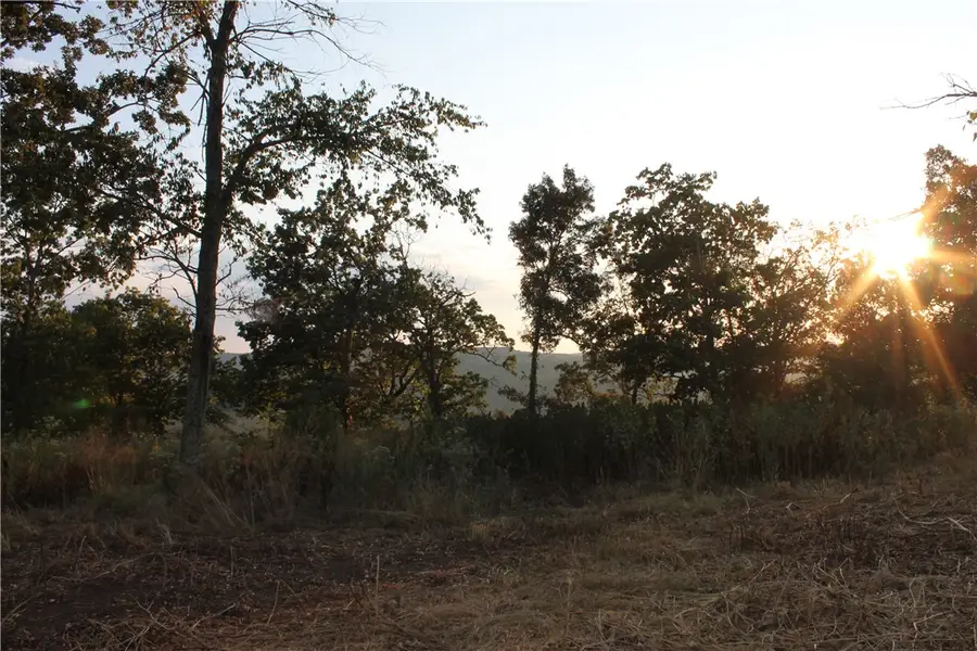 1667 Madison 6345, Wesley, AR 72773 - #2