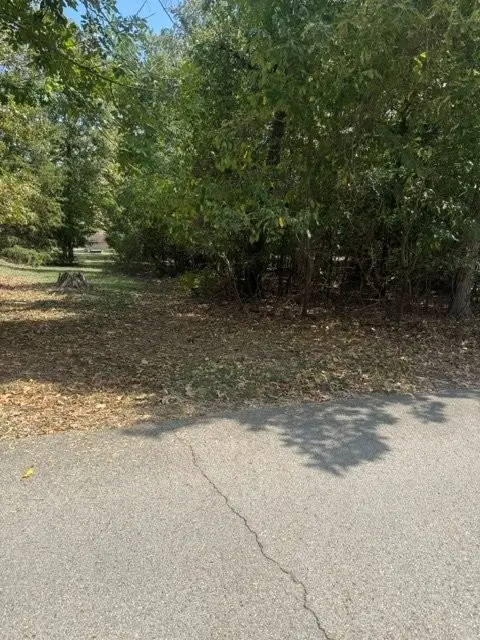 Woodstone Road, Bull Shoals, AR 72619 - #1