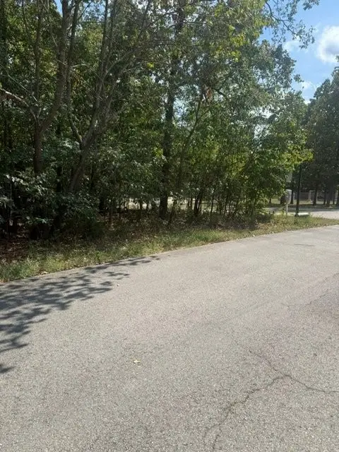 Woodstone Road, Bull Shoals, AR 72619 - #2