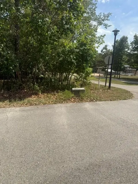 Woodstone Road, Bull Shoals, AR 72619 - #3