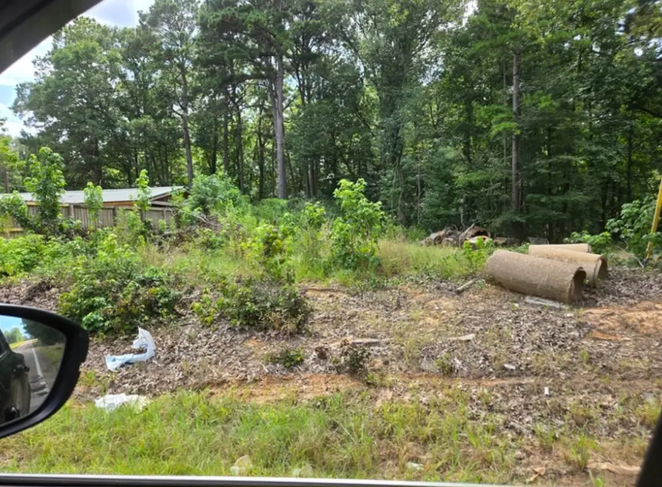 5847 Highway 53, Walker Creek, AR 71861 - #1