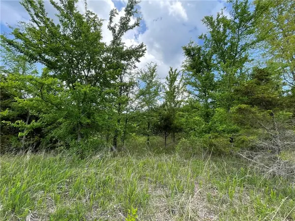 Posy Mountain Drive Lot 319 Drive, Rogers, AR 72732