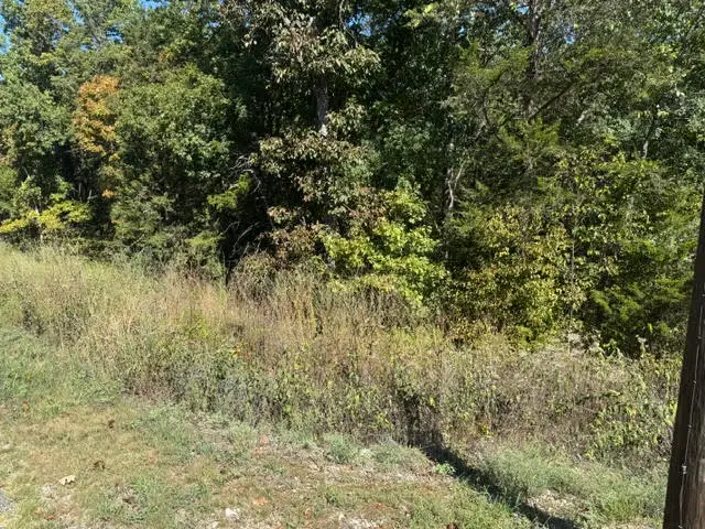 80 Wild Turkey Drive, Holiday Island, AR 72631 - #1