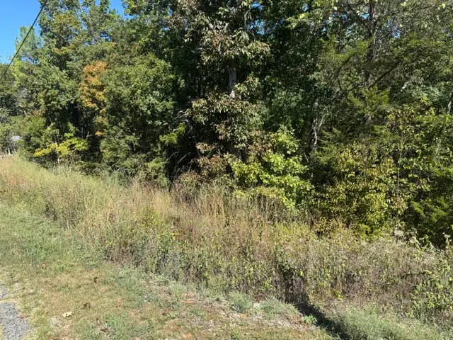 80 Wild Turkey Drive, Holiday Island, AR 72631 - #2