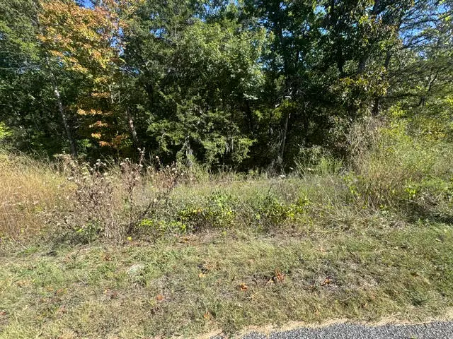80 Wild Turkey Drive, Holiday Island, AR 72631 - #3