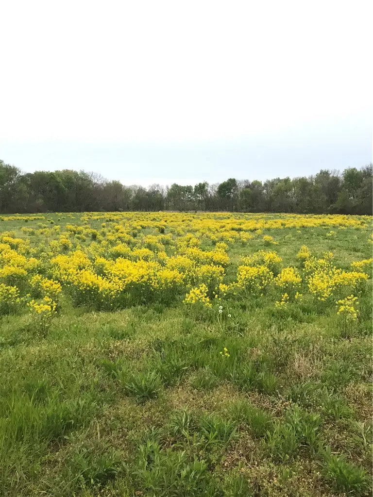 1149 W Highway 12, Highfill, AR 72713 - #2