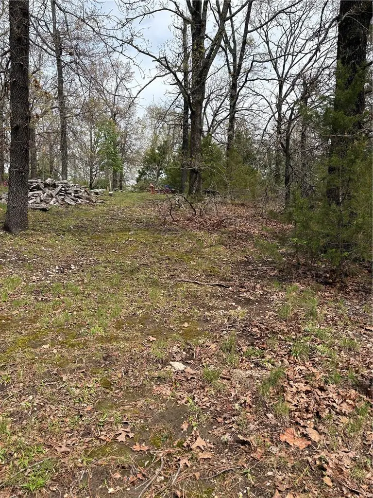 TBD N Lakewood Drive, Lowell, AR 72745 - #3
