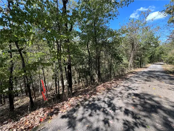 Parcel #925-01599-002 Tbd Vine Street, Eureka Springs, AR 72632
