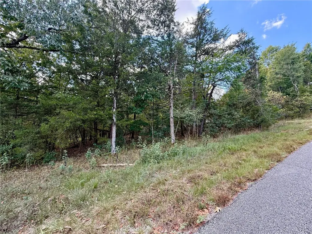 TBD Eagle Drive, Holiday Island, AR 72631 - #1