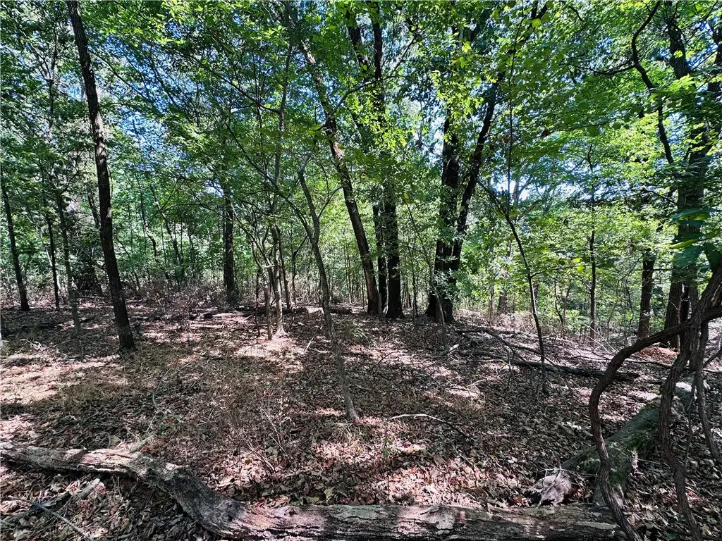 Leola Lane, Bella Vista, AR 72715 - #1