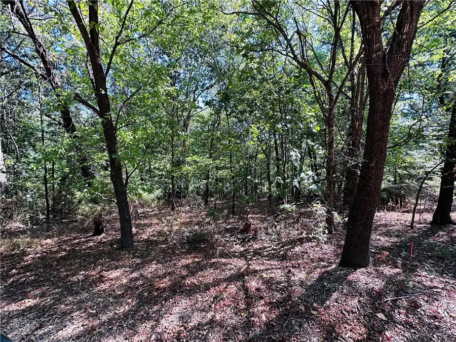 Leola Lane, Bella Vista, AR 72715 - #2