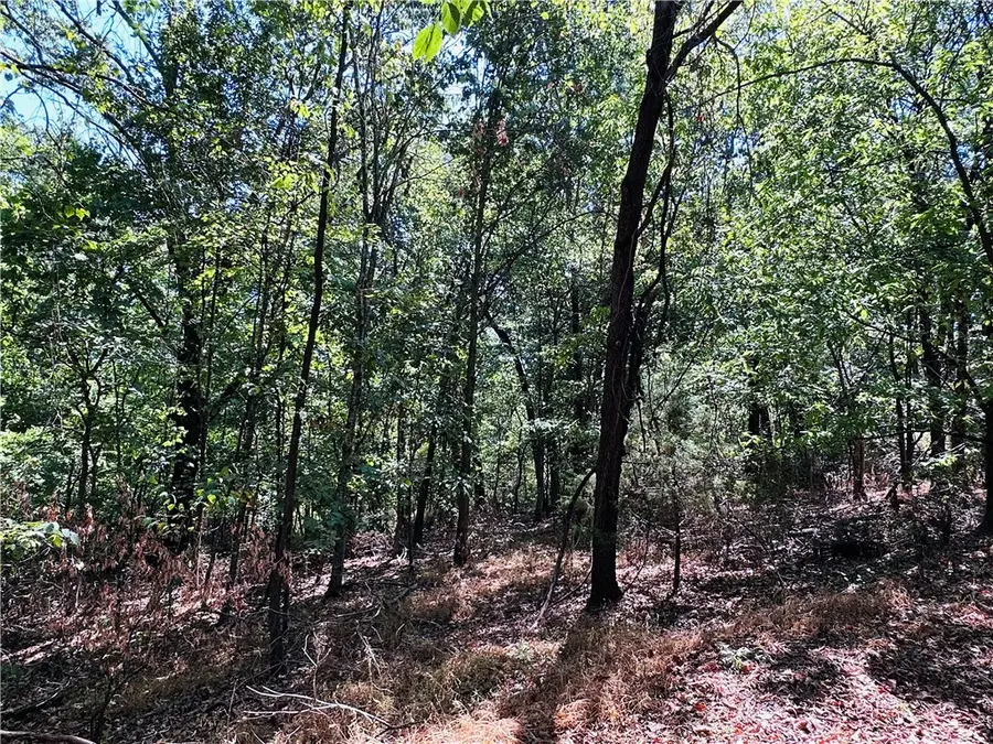 Leola Lane, Bella Vista, AR 72715 - #3