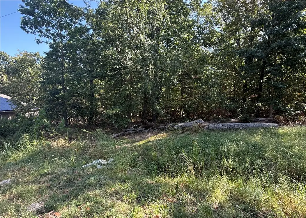Elsworth Lane, Bella Vista, AR 72714 - #1